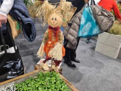Targi Ogrodnicze Warsaw Expo (15)