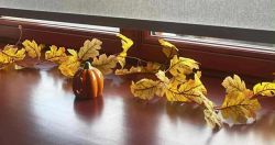 Dzień Dyni w naszej szkole!6