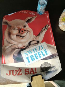 Edukacyjna wizyta w Sano Agrar Institut18