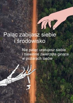 Piknik Ekologiczny (12)