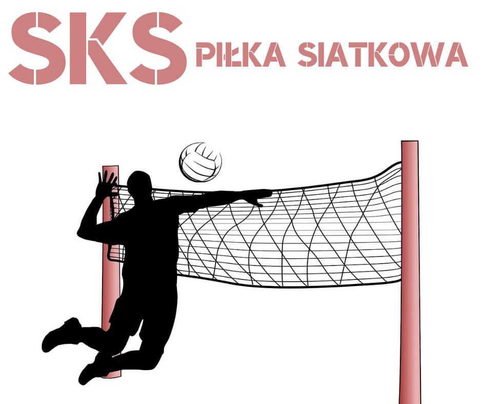 ZAPRASZAMY NA ZAJĘCIA SKS!!!